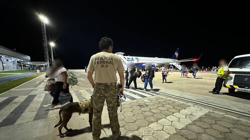 Uso do cão farejador pela Polícia Federal, nas abordagens no Aeroporto de Fortaleza, aumentou em 2023, na comparação com 2022